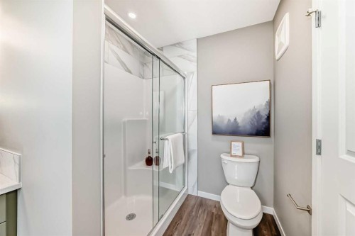 1014 Sawgrass Link Nw, Airdrie, AB - Indoor Photo Showing Bathroom