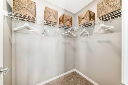 1014 Sawgrass Link Nw, Airdrie, AB - Indoor With Storage