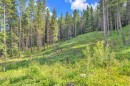 262 Southmore Place, Blairmore, AB 