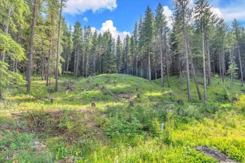 262 Southmore Place, Blairmore, AB 