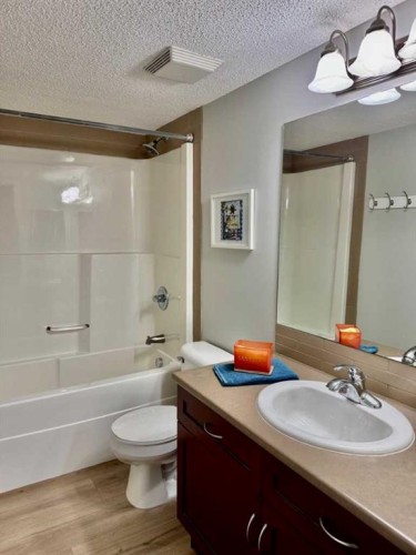214 Mckenzie Towne Lane Se, Calgary, AB - Indoor Photo Showing Bathroom