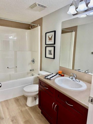 214 Mckenzie Towne Lane Se, Calgary, AB - Indoor Photo Showing Bathroom