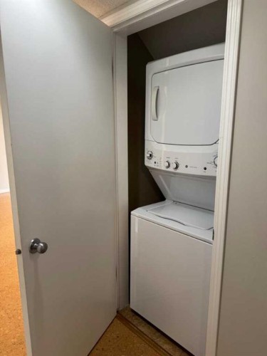 214 Mckenzie Towne Lane Se, Calgary, AB - Indoor Photo Showing Laundry Room