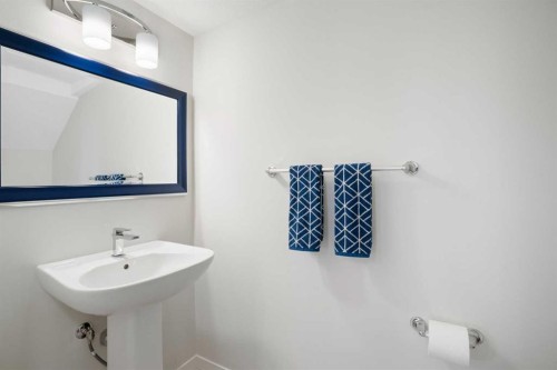 20531 Seton Way Se, Calgary, AB - Indoor Photo Showing Bathroom