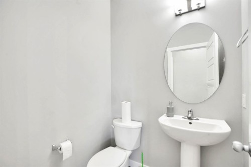 20 Cornerstone Link Ne, Calgary, AB - Indoor Photo Showing Bathroom