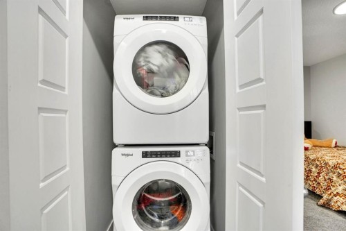 20 Cornerstone Link Ne, Calgary, AB - Indoor Photo Showing Laundry Room