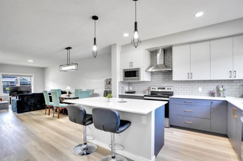 20 Cornerstone Link Ne, Calgary, AB - Indoor Photo Showing Kitchen With Upgraded Kitchen