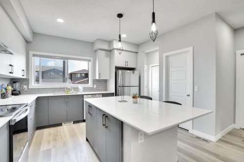 20 Cornerstone Link Ne, Calgary, AB - Indoor Photo Showing Kitchen With Upgraded Kitchen