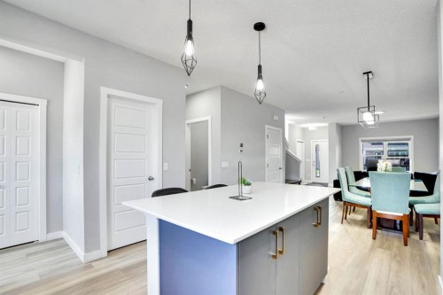 20 Cornerstone Link Ne, Calgary, AB - Indoor Photo Showing Kitchen With Upgraded Kitchen