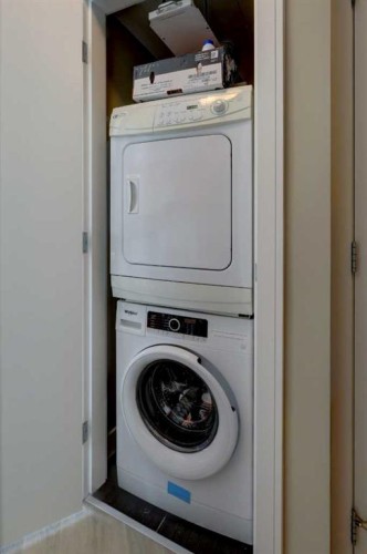 246-222 Riverfront Avenue Sw, Calgary, AB - Indoor Photo Showing Laundry Room