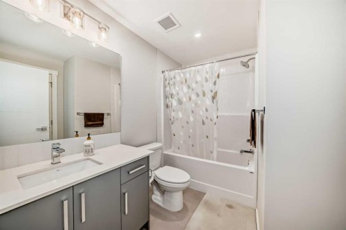 2202-151 Skyview Bay Ne, Calgary, AB - Indoor Photo Showing Bathroom