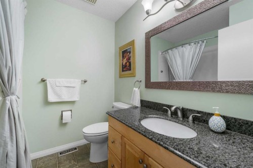 232 Templeside Circle Ne, Calgary, AB - Indoor Photo Showing Bathroom