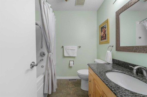 232 Templeside Circle Ne, Calgary, AB - Indoor Photo Showing Bathroom