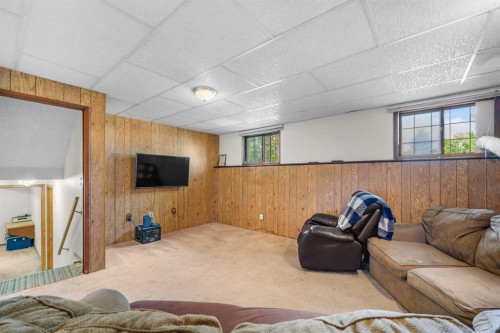 232 Templeside Circle Ne, Calgary, AB - Indoor Photo Showing Basement
