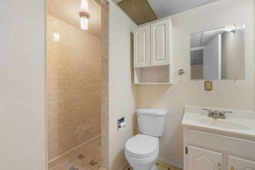 232 Templeside Circle Ne, Calgary, AB - Indoor Photo Showing Bathroom
