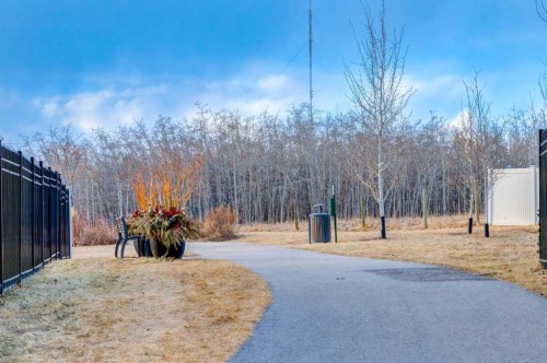 19 West Grove Place Sw, Calgary, AB - Outdoor