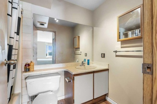 315-335 Garry Crescent Ne, Calgary, AB - Indoor Photo Showing Bathroom