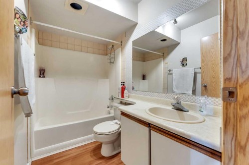 315-335 Garry Crescent Ne, Calgary, AB - Indoor Photo Showing Bathroom