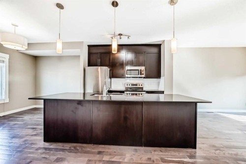 606 Skyview Point Place Ne, Calgary, AB - Indoor Photo Showing Kitchen With Upgraded Kitchen