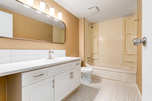 204 Hawkhill Way Nw, Calgary, AB - Indoor Photo Showing Bathroom