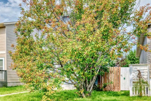 7 Martinview Crescent, Calgary, AB - Outdoor