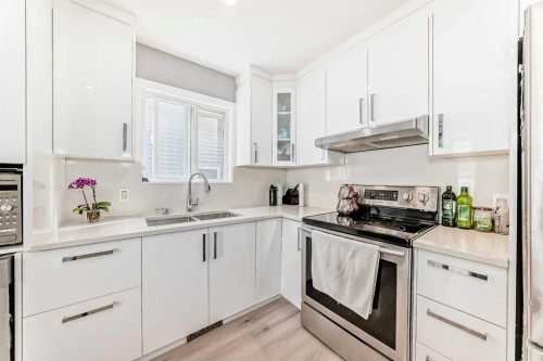 7 Martinview Crescent, Calgary, AB - Indoor Photo Showing Kitchen With Double Sink
