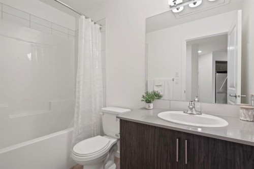 3117-3727 Sage Hill Drive Nw, Calgary, AB - Indoor Photo Showing Bathroom