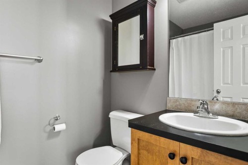 701 Prairie Sound Circle Nw, High River, AB - Indoor Photo Showing Bathroom
