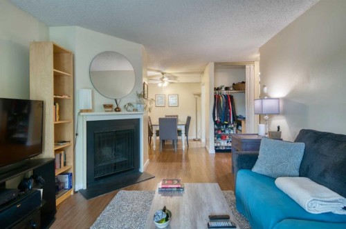 5107-315 Southampton Drive Sw, Calgary, AB - Indoor Photo Showing Living Room With Fireplace