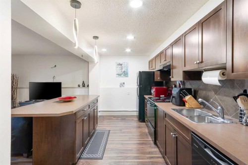 103-1836 12 Avenue Sw, Calgary, AB - Indoor Photo Showing Kitchen With Double Sink