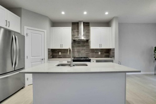 232 Cornerbrook Common Ne, Calgary, AB - Indoor Photo Showing Kitchen With Double Sink With Upgraded Kitchen