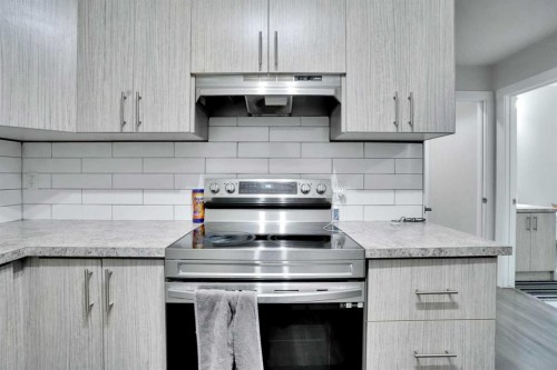 232 Cornerbrook Common Ne, Calgary, AB - Indoor Photo Showing Kitchen With Upgraded Kitchen