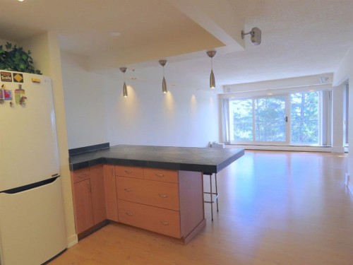 204-328 Cedar Crescent Sw, Calgary, AB - Indoor Photo Showing Kitchen