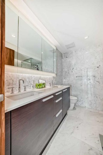 302-738 1 Avenue Sw, Calgary, AB - Indoor Photo Showing Bathroom
