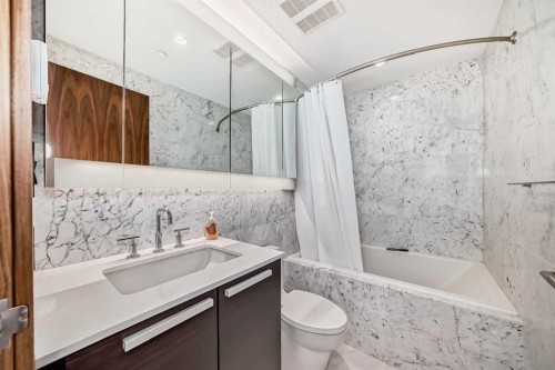 302-738 1 Avenue Sw, Calgary, AB - Indoor Photo Showing Bathroom