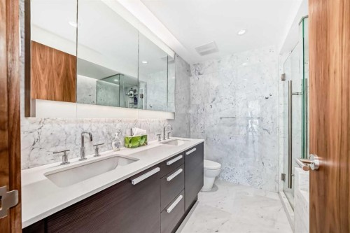 302-738 1 Avenue Sw, Calgary, AB - Indoor Photo Showing Bathroom
