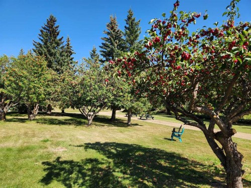 5430 51A Street, Bashaw, AB 