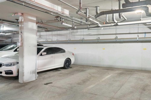 308-80 Carrington Plaza Nw, Calgary, AB - Indoor Photo Showing Garage