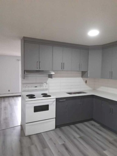 723 5 Street Ne, Calgary, AB - Indoor Photo Showing Kitchen With Double Sink