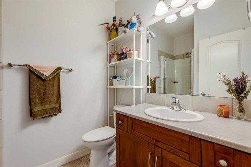 534-10 Discovery Ridge Close Sw, Calgary, AB - Indoor Photo Showing Bathroom