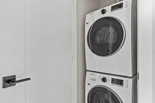 355-110 18A Street Nw, Calgary, AB - Indoor Photo Showing Laundry Room