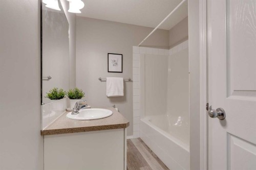 910 Prairie Sound Circle Nw, High River, AB - Indoor Photo Showing Bathroom