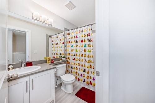 1703 Jumping Pound Common, Cochrane, AB - Indoor Photo Showing Bathroom