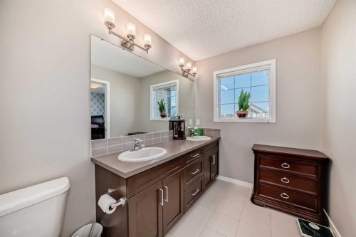 9 Copperpond Avenue Se, Calgary, AB - Indoor Photo Showing Bathroom