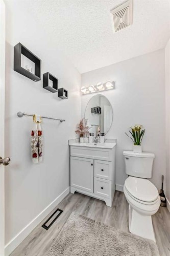 246 New Brighton Mews Se, Calgary, AB - Indoor Photo Showing Bathroom