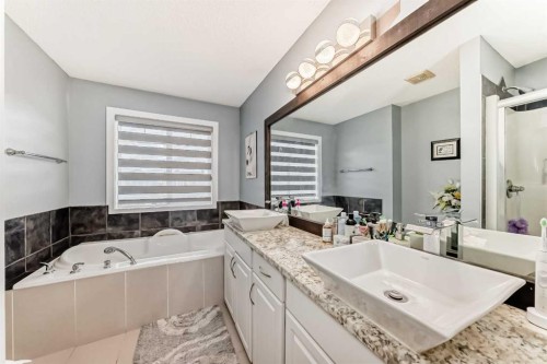 246 New Brighton Mews Se, Calgary, AB - Indoor Photo Showing Bathroom