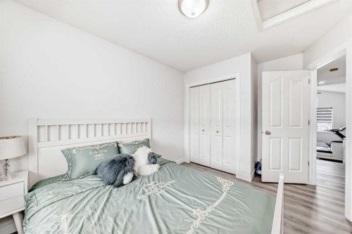 246 New Brighton Mews Se, Calgary, AB - Indoor Photo Showing Bedroom