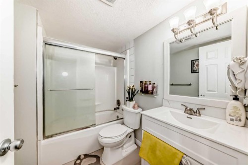 246 New Brighton Mews Se, Calgary, AB - Indoor Photo Showing Bathroom
