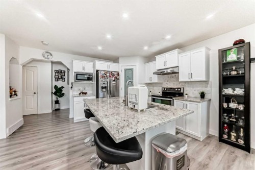 246 New Brighton Mews Se, Calgary, AB - Indoor Photo Showing Kitchen With Upgraded Kitchen