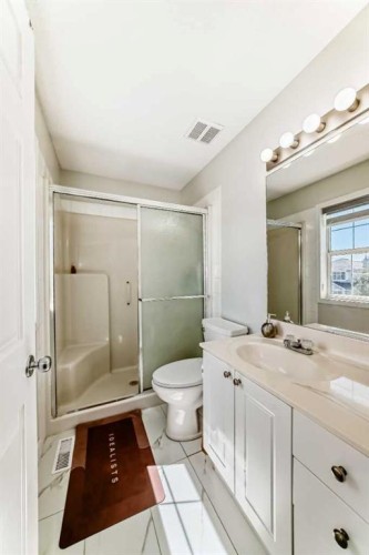 32 Taravista Crescent Ne, Calgary, AB - Indoor Photo Showing Bathroom